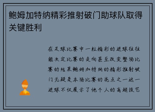 鲍姆加特纳精彩推射破门助球队取得关键胜利
