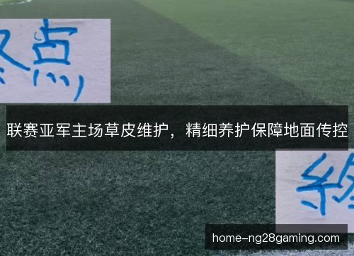 联赛亚军主场草皮维护，精细养护保障地面传控